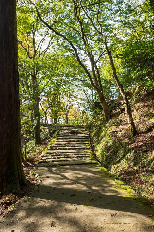 Japan-Kyoto-Hiking-Mount Atago-Arashiyama - I nearly missed the best bit. I decline the map at the admission booth, but when I went back out I asked where the thing I was here for is, and took a