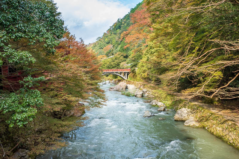 Japan-Kyoto-Hiking-Mount Atago-Arashiyama - Although I did photograph this one twice, I almost managed to hide the sheds behind it.