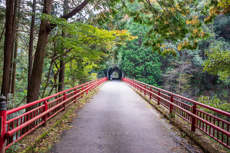 Japan-Kyoto-Hiking-Mount Atago-Arashiyama - Red bridge plus tunnel, what a combo!