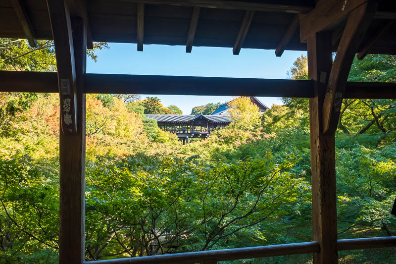 Back to Japan for even more - Oct and Nov 2017 - I managed to get a view of the $10 garden without paying. A huge number of Japanese grandmas also were not paying, and standing here and making noises