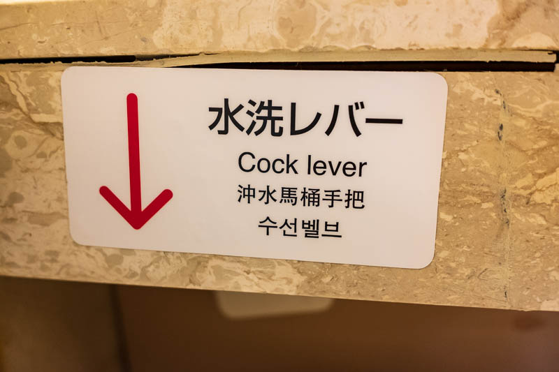 Back to Japan for even more - Oct and Nov 2017 - The bathroom has some alarming features. I cant work out how to correctly position this lever or why I would even need a lever at all.