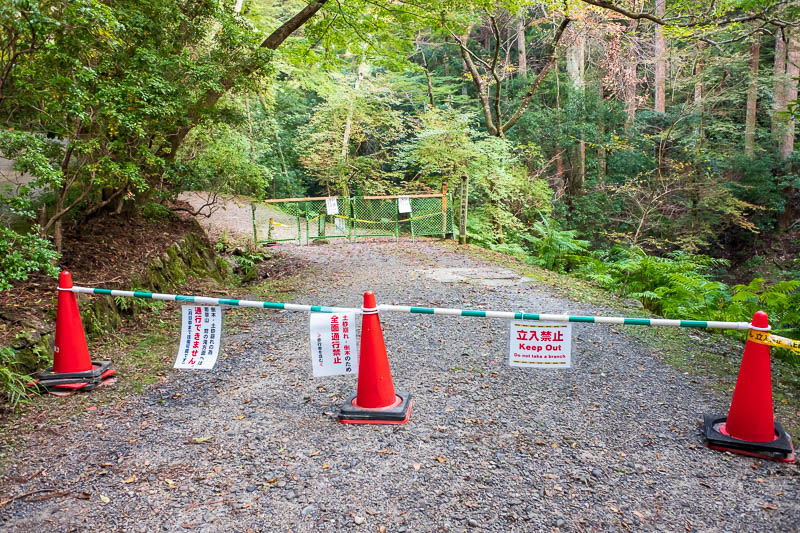 Japan-Nara-Hiking-Deer - TRAGEDY, thwarted again. Me and lots of other people expressed our disgust, path closed. I bet it was perfectly fine to climb over the fallen tree. I 