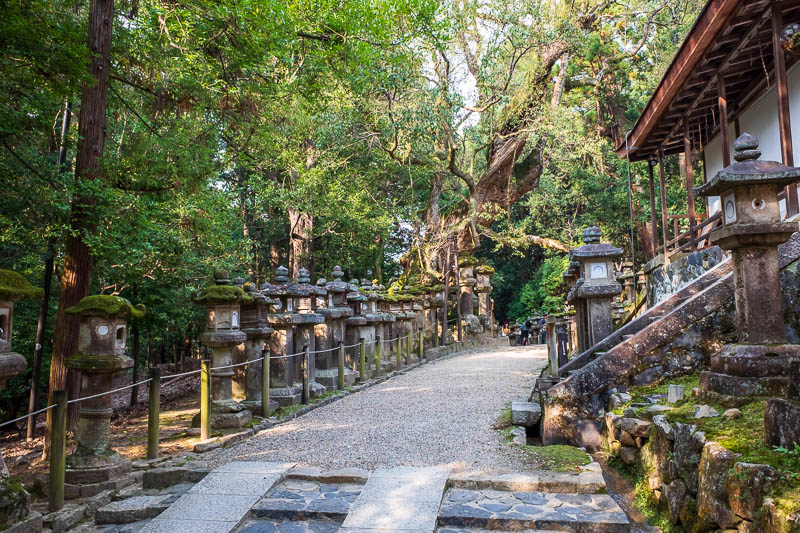 Back to Japan for even more - Oct and Nov 2017 - Instead I had to cut back through the plethora of temples. I didnt take many photos here, because I have before on my last visit, and I was in a hurry