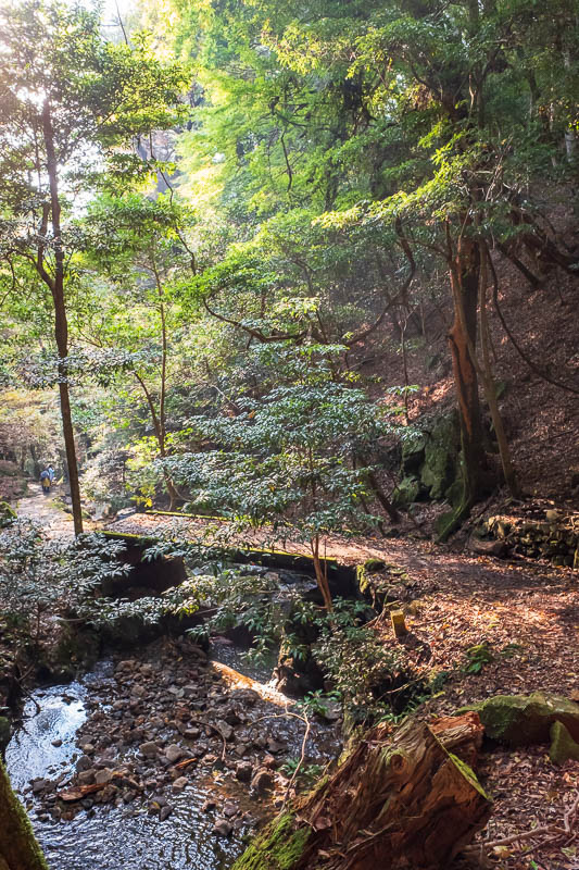 Back to Japan for even more - Oct and Nov 2017 - The path down was an ancient stone trail. The lighting was great for a lot of the time.