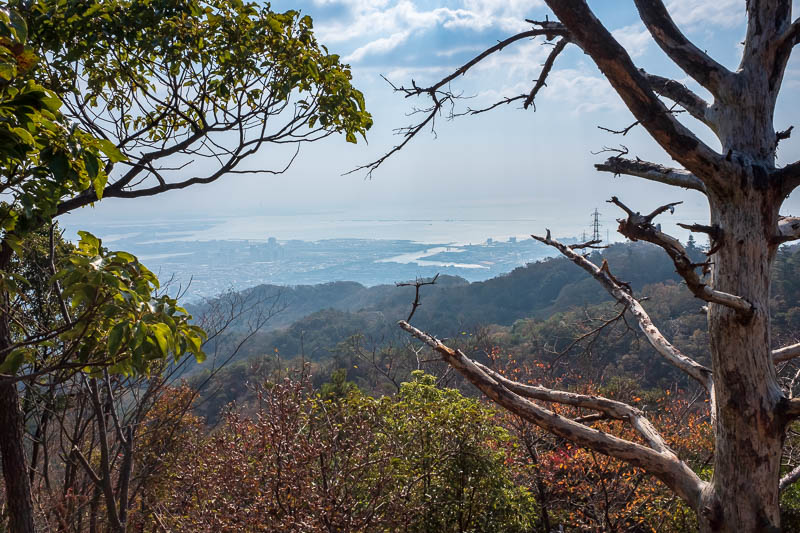 Japan-Kobe-Hiking-Mount Rokko - Nice view though, lots of color today, but I didnt photograph it well.