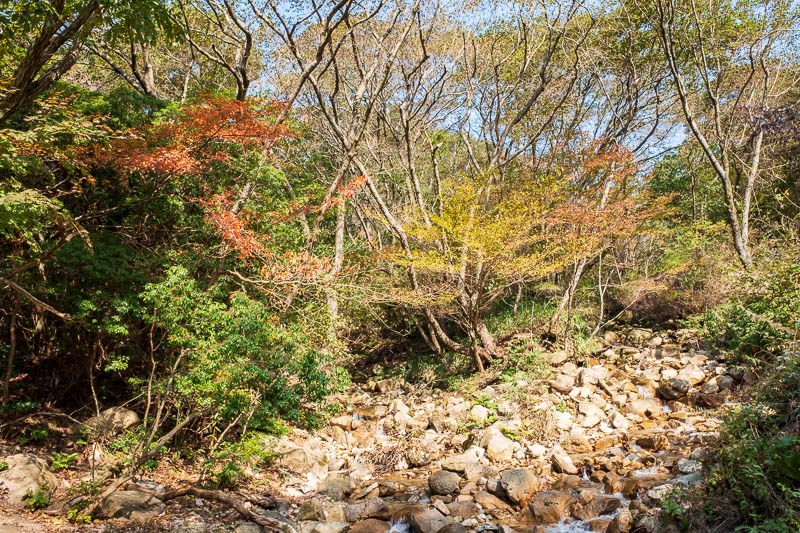 Japan-Kobe-Hiking-Mount Rokko - Some more color and a waterfall. No bears today, but there are lots of wild boars, I saw one. The locals were yelling at it and trying to video it, it