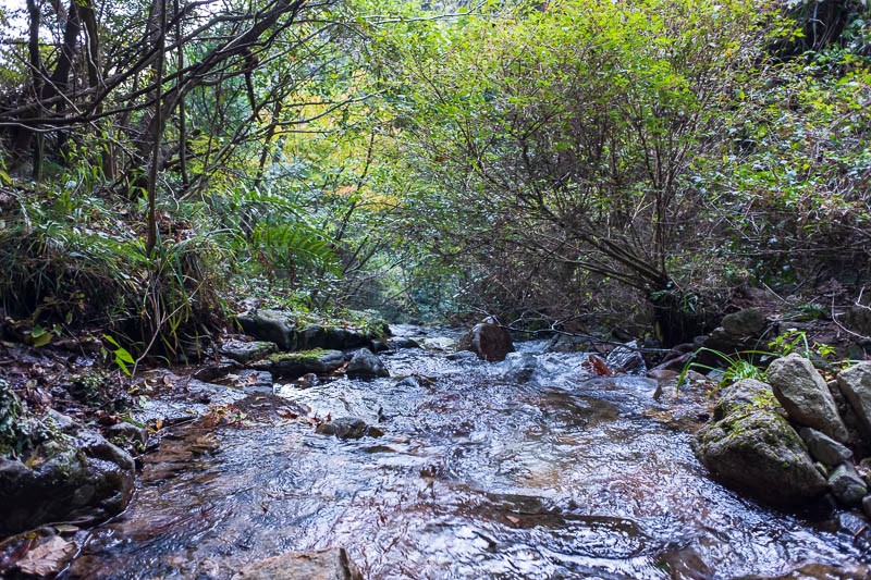 Japan-Kobe-Hiking-Mount Rokko - Heres a stream I had to cross, I never saw another person for 3 hours on the way down! Hence the 'first everybody, then nobody' title of todays post.