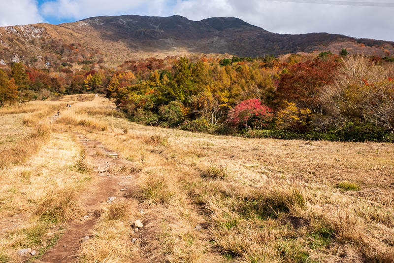Back to Japan for even more - Oct and Nov 2017 - A nice bit of colorful forest, and people on the path ahead, I will pass them soon. The summit still looks a long way off.