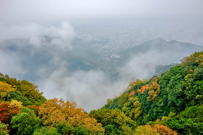Japan-Gifu-Rain-Fog-Castle-Garden - Now we do the view, of the fog! And also those damn wires.