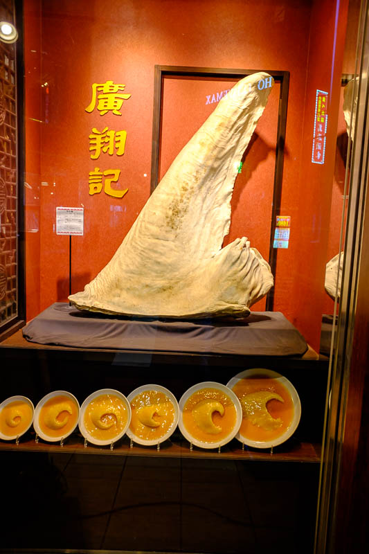 Back to Japan for even more - Oct and Nov 2017 - I felt like shark fin soup, but it was too expensive. That however is the biggest shark fin I ever saw. Japan has shark fin soup, ivory, whale meat, l