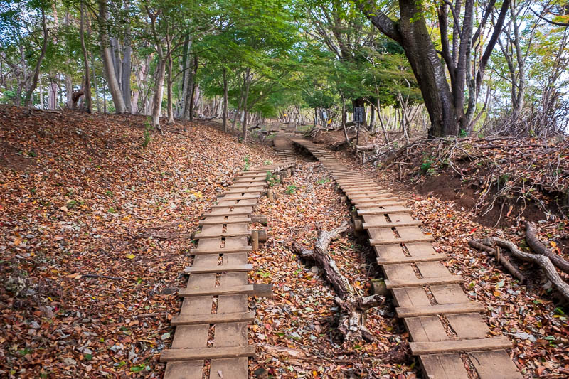 Back to Japan for even more - Oct and Nov 2017 - Due to the popularity of this hike, they have put in lots of boards and steps like this otherwise it turns to slushy mud. A few random spots were very