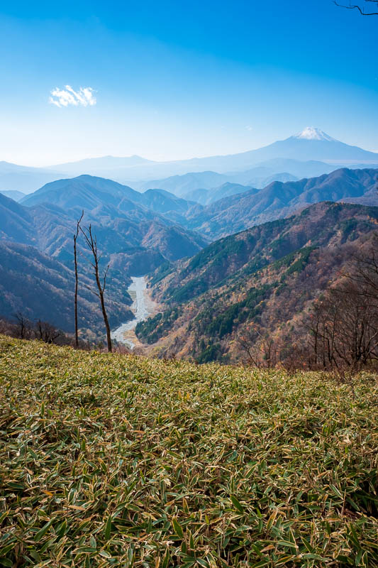 Back to Japan for even more - Oct and Nov 2017 - And another vertical shot of the amazing valley, bamboo, fuji. I dont really need to add words here.