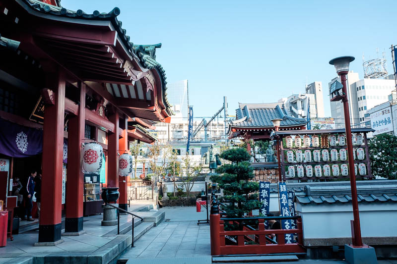 Japan-Yokohama-Tokyo-Cat-Akihabara - I had to flee back to Ueno, where I found this temple hidden in the streets with a view of the passing trains to reflect on what I had seen.