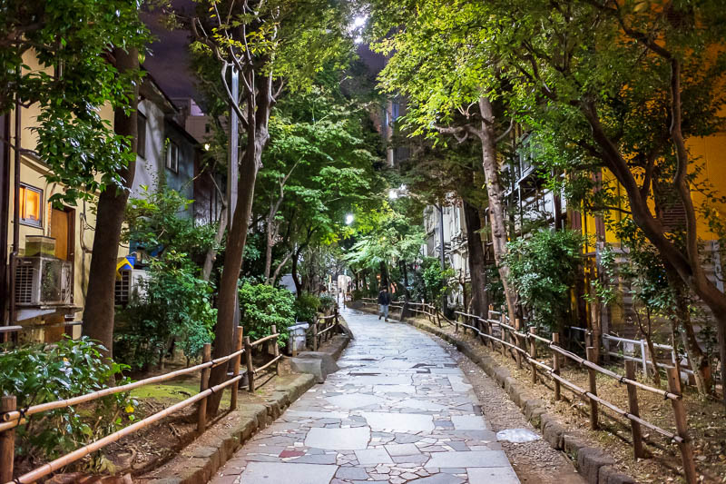 Back to Japan for even more - Oct and Nov 2017 - In the back streets of Kabukicho there is this walkway through an urban forest.