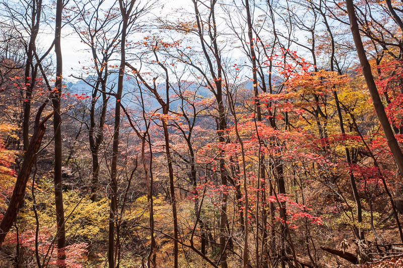 Japan-Nakasendo-Hiking-Karuizawa-Autumn Colors - 2 of 3.