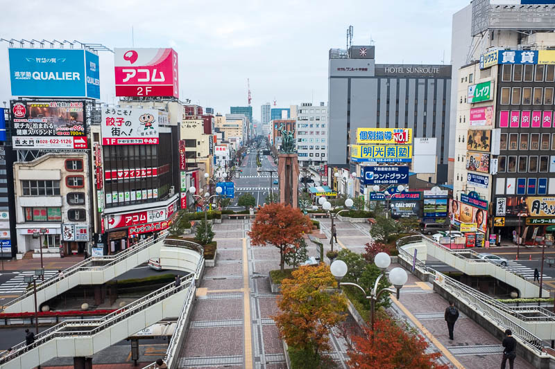 Back to Japan for even more - Oct and Nov 2017 - Here is a very grey Utsunomiya station area, shot through a closed window. On the train between here and Nikko the sun came out, which I was not expec