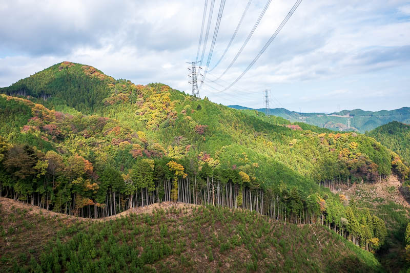 Japan-Hiking-Asoyama-Hinodesan-Mitake - Logging AND wires. A winning combination.
