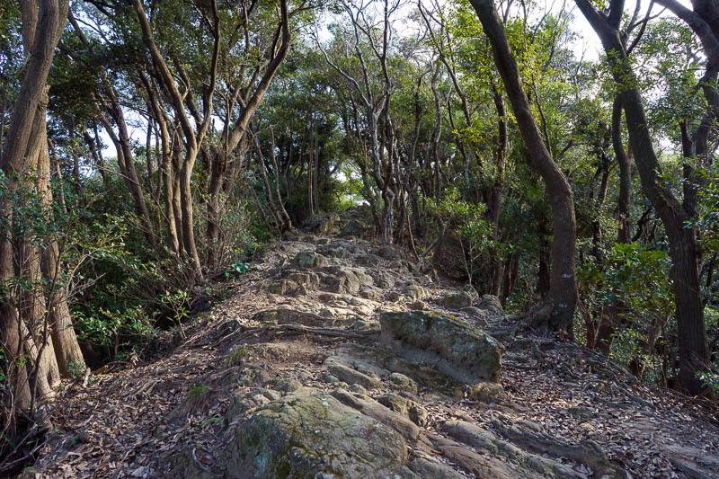 Of course I am back in Japan yet again - Oct and Nov 2018 - Time to get climbing. I had meticulously planned a path to take me up a remote way to the top of Mount Nokogiri. It did not go to plan and I got lost 