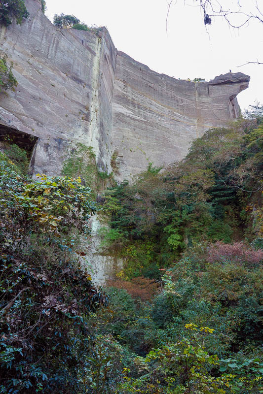 Of course I am back in Japan yet again - Oct and Nov 2018 - This whole place used to be a quarry, right up until 1980. I dont understand how they cut the huge cubes of stone out of the cliff face using just a h
