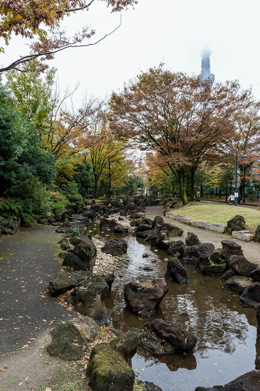 Of course I am back in Japan yet again - Oct and Nov 2018 - I found this linear park thing to walk along to get me there. I could keep a constant eye on the cloud and the gray.