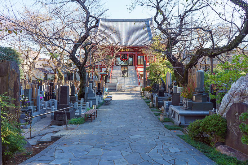 Of course I am back in Japan yet again - Oct and Nov 2018 - I passed many many.....many shrines and temples today, I limited my photos to a couple. This one is also a cemetery, but it is not the main cemetery o
