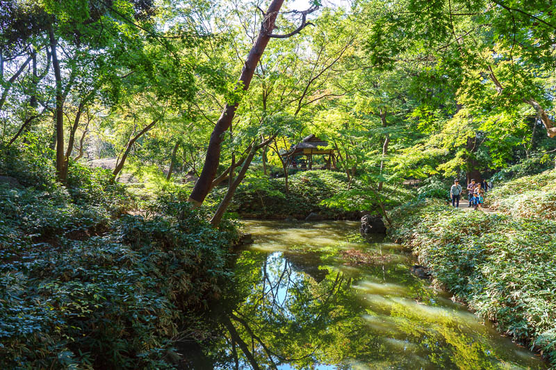 Japan-Tokyo-Garden - This area will probably be spectacular MOMOJI in a few weeks time. I like to use all caps when I use words that I find entertaining to myself. Here in