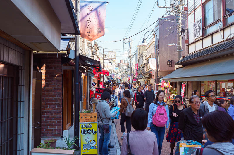 Japan-Tokyo-Garden - The main tourist street. Be careful here, you are not welcome!