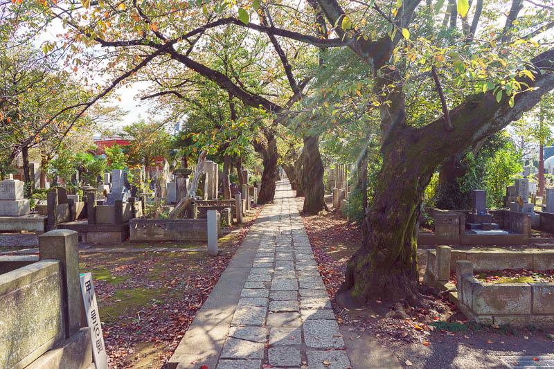 Japan-Tokyo-Garden - The walk through the cemetery was nice, a couple of joggers went by which I thought was mildly amusing.
