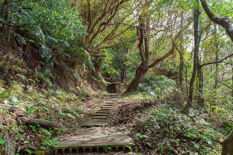 Japan-Okinawa-Nago-Hiking - This path was a false start, it went up to a grave of some importance, probably the actual ruins, I then had to follow it back down again.