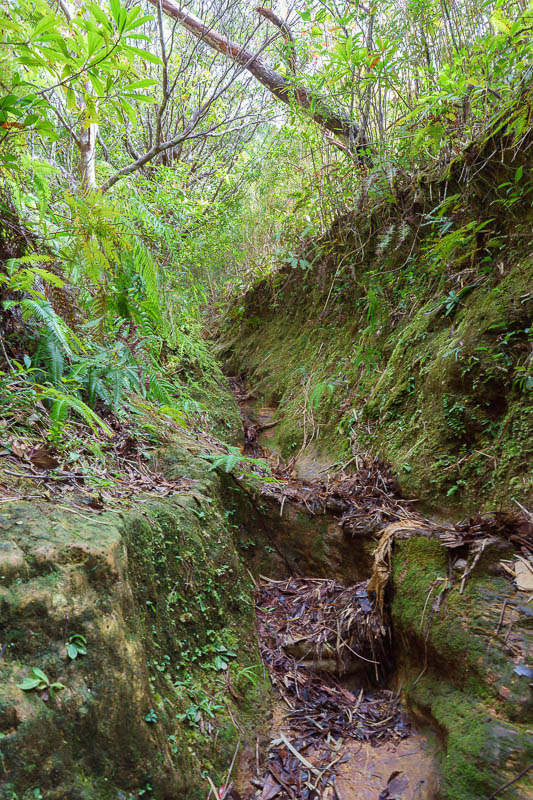 Japan-Okinawa-Nago-Hiking - The final bit before emerging in the scout camp was a small ravine of moss covered rocks. At times I had to place one foot in front of the other to fi