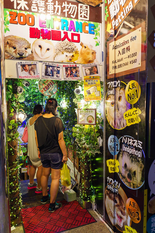 Japan-Okinawa-Naha-Food - An underground zoo. They have the usual things like owls and hedgehogs for you to torture, but they also claim to have an otter? Otters have terrifyin