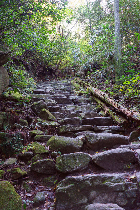 Of course I am back in Japan yet again - Oct and Nov 2018 - Very steep steps. After this theres a few chain / rope pull sections over rock face, but very easy comparatively.