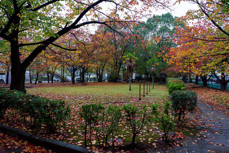 Of course I am back in Japan yet again - Oct and Nov 2018 - Before heading to my train there was plenty of time for a damp lap of Fukuoka to take in the site of damp colorful leaves with the damp grey backdrop 