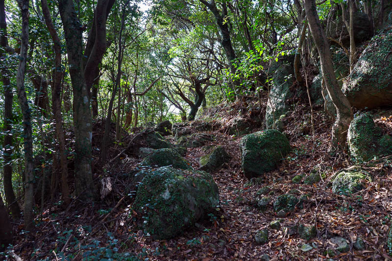 Of course I am back in Japan yet again - Oct and Nov 2018 - I approached the shrine from the back, where the shrine makers had discarded the excess boulders. They are fun to roll down the hills.