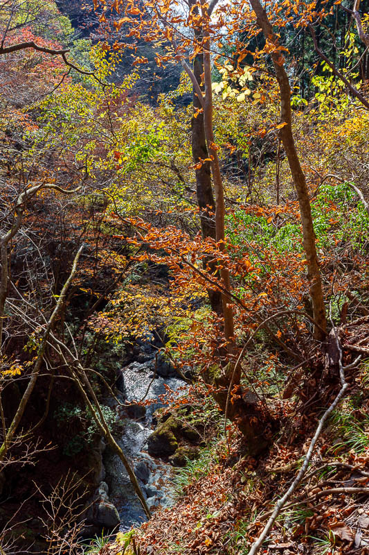 Japan-Tokyo-Hiking-Mount Kawanori - More color, more water, more view.