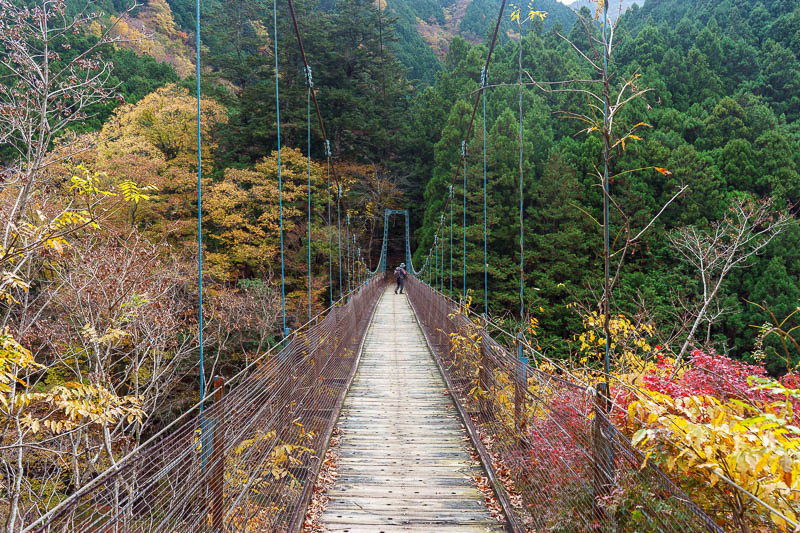 Japan-Okutama-Lake-Hiking - There are a couple of old bridges to climb over and take photos from. They move around a lot, and no more than 5 people at a time are allowed on the b