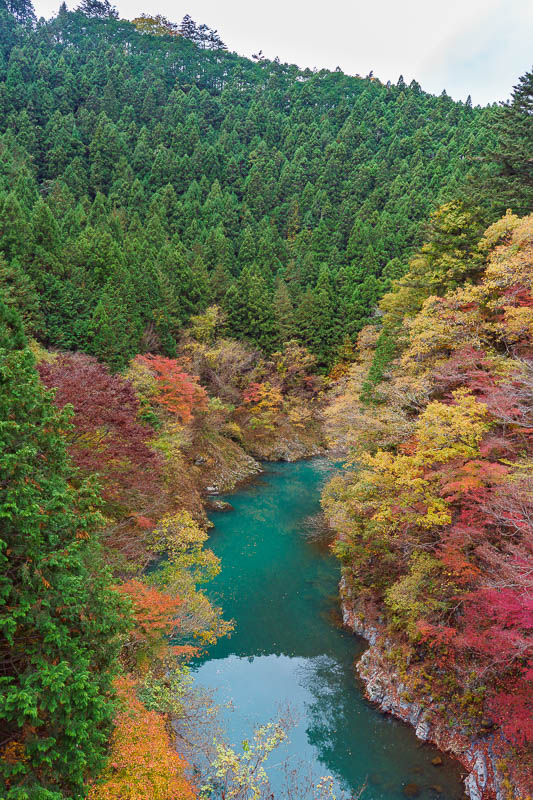 Japan-Okutama-Lake-Hiking - View from bridge the other way. Check out the color of the water, someone dropped a box of pens into it to make it that color.