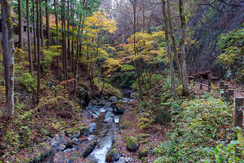 Of course I am back in Japan yet again - Oct and Nov 2018 - The path soon descended into this dark valley. I liked it. I am glad I did not take the shortcut.