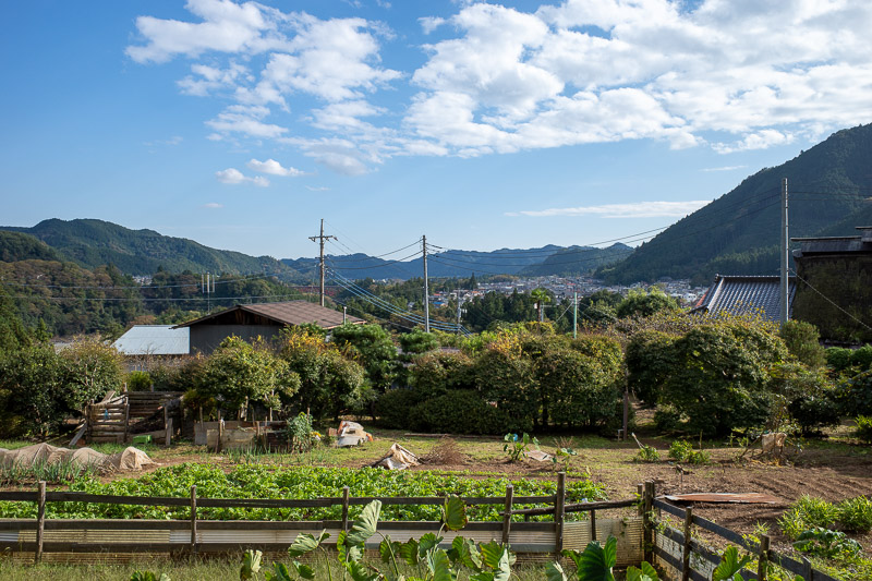 Japan for the 9th time - Oct and Nov 2019 - The view from the station back down the valley towards Tokyo was very nice. But I had 20 minutes until my train would come, what to do?