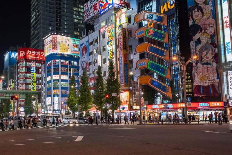 Japan for the 9th time - Oct and Nov 2019 - Since I was passing Akihabara, time for another Neon photo.