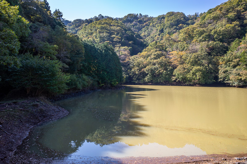 Japan for the 9th time - Oct and Nov 2019 - The hike starts at a swamp that is apparently a pristine reservoir full of mountain water. I wont be partaking of a drink.