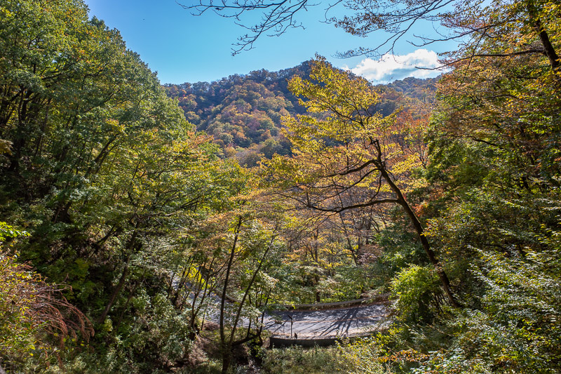 Japan for the 9th time - Oct and Nov 2019 - Here in the valleys, a bit of color has come, but its still not peak color. Last visit I was too late. The color comes late this year. I actually read