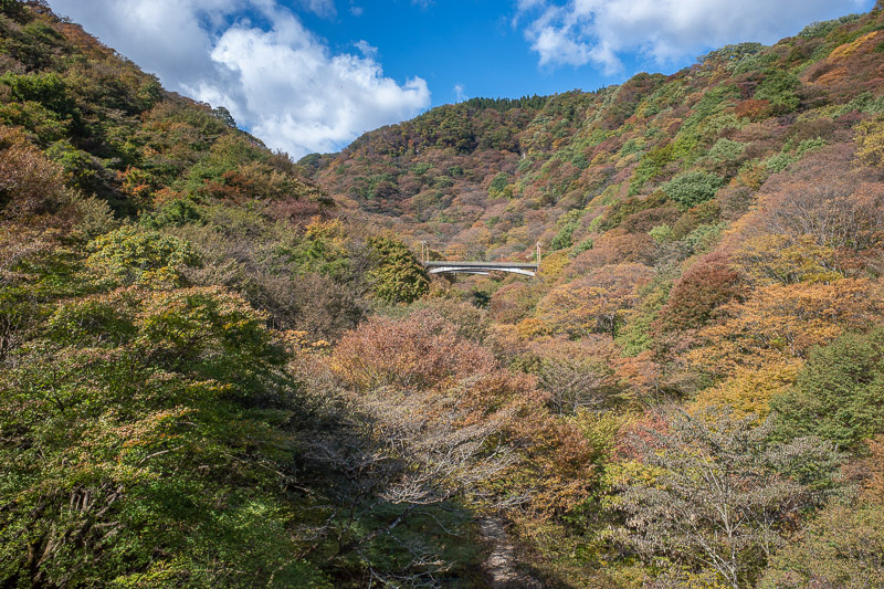 Japan for the 9th time - Oct and Nov 2019 - That is another more recent, but also closed alignment of the same rail line! Theres an entirely different set of abandoned tunnels.