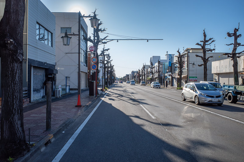 Japan-Takasaki-Niigata-Shinkansen - I was up early in Takasaki. Behold the beautiful tree lined streets! I saw them elsewhere doing this to the trees. They do this BEFORE the leaves chan