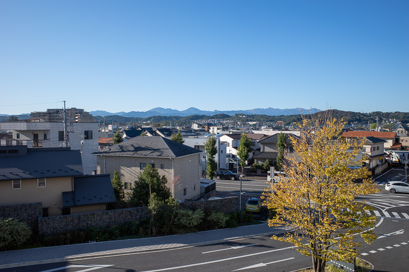 Japan for the 9th time - Oct and Nov 2019 - I climbed up the wall of the local arena to get a nice shot of the town. Who left the leaves on that tree?
