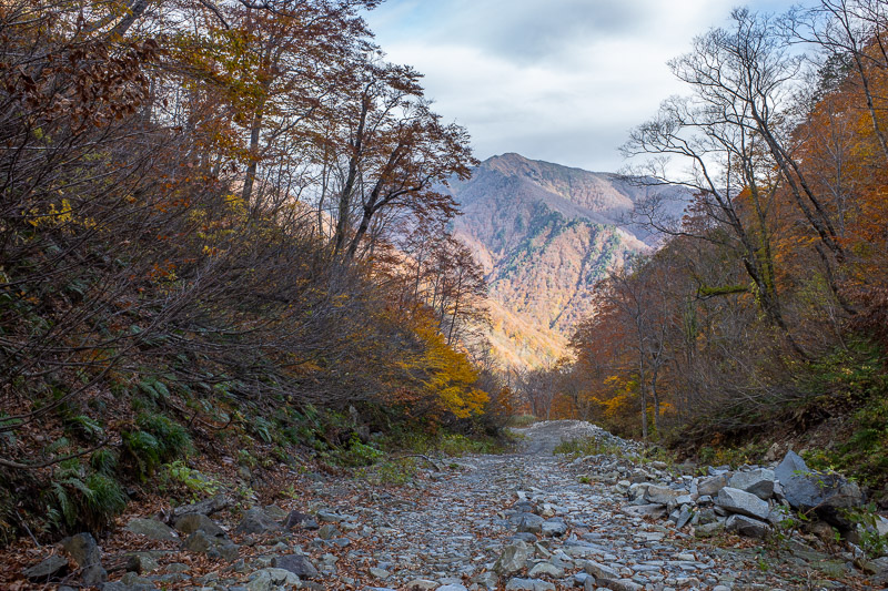 Japan for the 9th time - Oct and Nov 2019 - Looking back down the rocky path. Rain was coming! I had options if the weather turned really bad, stop at the top cable car station and catch it back