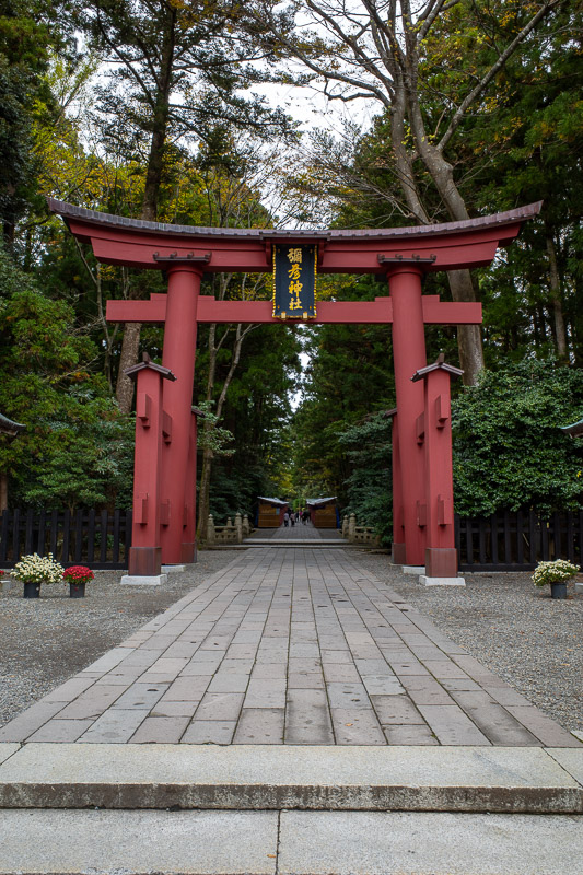 Japan-Niigata-Hiking-Mount Yahiko - Behold the gate, and flowers.