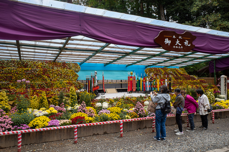Japan-Niigata-Hiking-Mount Yahiko - Ridiculous amounts of flowers.