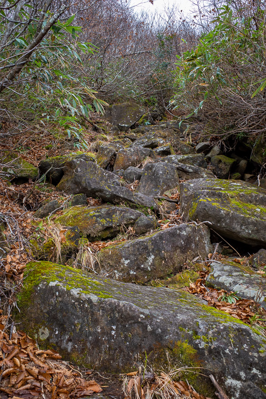 Japan for the 9th time - Oct and Nov 2019 - Sometimes the path became boulders. It was just after this photo that it was fortunate there were no other people, as I somehow dislodged a boulder th