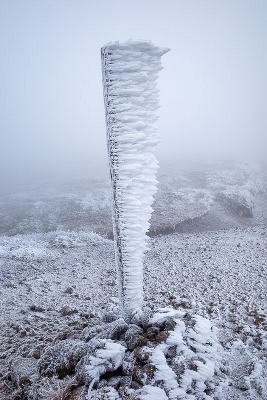 Japan-Yamagata-Hiking-Mount Zao - That is just a pole, with ice hanging off it. Very interesting. Such wind!